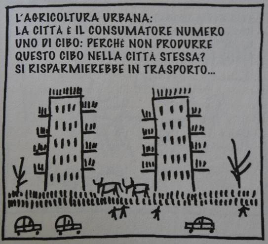 Descrizione: DSC_0025