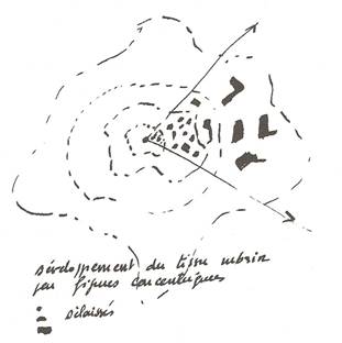 Descrizione: città.jpg